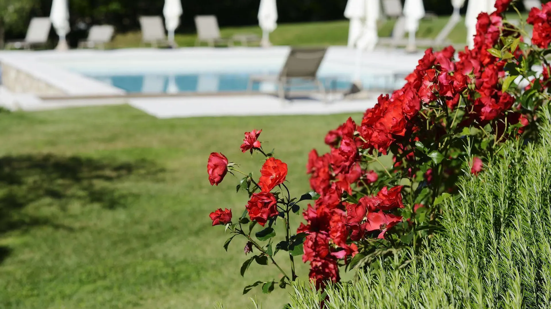Relais Rossar Boutique Hotel Garda & Hills Costermano